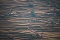 Home on rice terraces beautiful landscape Royalty Free Stock Photo