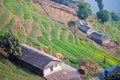 Home on rice terraces beautiful landscape Royalty Free Stock Photo