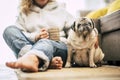 Home daily scene with people and dog with woman sit down on the floor hug an old pug dog - concept of friendship forever with best Royalty Free Stock Photo