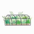 Home semicircular greenhouse with various plants. Glass orangery with flowers and grass. Hobbies and nature interest. Vector flat