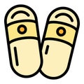 Home slippers summer icon vector flat Royalty Free Stock Photo