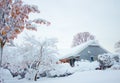 Home After Snowfall Royalty Free Stock Photo