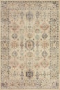 Home Textile Carpet Bathmat and Rug design pattern with distressed texture and effect Royalty Free Stock Photo