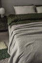 Home textile pillows eco cotton bedroom interior