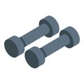 Home training dumbbells icon, isometric style