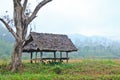 Home, under the trees. Royalty Free Stock Photo