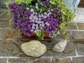 Home various flowers in pots. Design Italian courtyards Royalty Free Stock Photo