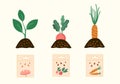 Home vegetables gardening crops hobby illustrations set. Vector plants seedlings and seeds spring seasonal flat style