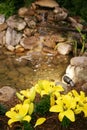 Home Water Feature Royalty Free Stock Photo