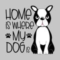 Home is where my dog is- positive saying text, with cute Boston Terrier on gray backgrund. Royalty Free Stock Photo