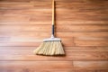 Home wood sweep cleaning broom housework flooring house dust brush Royalty Free Stock Photo