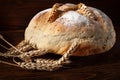 Homebaked bread. Closeup loaf of round fresh peasant bread and wheat spikelets on a wooden background