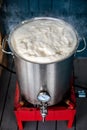 Homebrewing Hot Break and lot of Protein Froth on to of the Boil
