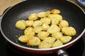 Stir fried potato with pepper - home cook Royalty Free Stock Photo