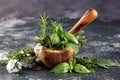 Homegrown and aromatic herbs on rustic background with rosemary and basil Royalty Free Stock Photo
