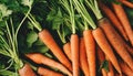 Homegrown carrots top view generative ai