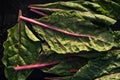 Homegrown chard leaves harvest local garden Royalty Free Stock Photo