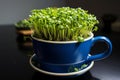 Homegrown Easter Dark blue cup with freshly bred green cress