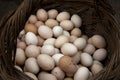 Homegrown eggs for sale Royalty Free Stock Photo