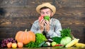 Homegrown harvest concept. Typical farmer guy. Farm market harvest festival. Man mature bearded farmer hold vegetables Royalty Free Stock Photo