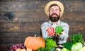 Homegrown harvest concept. Typical farmer guy. Farm market harvest festival. Sell vegetables. Man mature bearded farmer Royalty Free Stock Photo