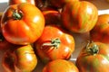 Homegrown heirloom Green Zebra tomatoes close up Royalty Free Stock Photo