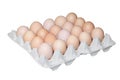 Homegrown organic chicken eggs on package of recyc Royalty Free Stock Photo