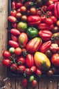 Homegrown tomatoes on a baking tray