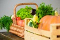 Homegrown vegetables. Fresh organic vegetables in wicker basket and wooden box. Fall harvest concept. Autumn harvest Royalty Free Stock Photo