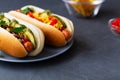 Homehand tasty Hot dogs with different toppings Royalty Free Stock Photo