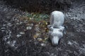 Homeless bear sleeping in the cold frost all alone Royalty Free Stock Photo