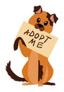 Homeless dog with poster adopt me isolated Royalty Free Stock Photo