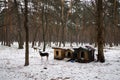 Homeless dog sitting inside dog house. Winter, snow. Shaky and hungry dog from the cold in the forest.