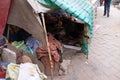 Homeless family living on the streets of Kolkata