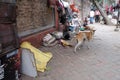 Homeless family living on the streets of Kolkata