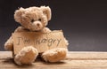 Homeless hungry child concept. Teddy bear sad, holding a cardboard sign, text hungry