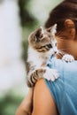 Homeless kitten in the hands of a child. The concept of pets, friendship, trust, love and lifestyle