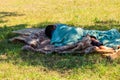 Homeless little boy sleeping on grass in city park. Poverty concept Royalty Free Stock Photo