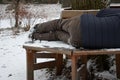 Homeless man, abandoned lonely and frail. When spending the night in a park on a snowy circle shape bench, it can get cold or caus Royalty Free Stock Photo