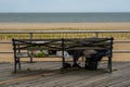 Homeless man at Coney Island Boardwalk in Brooklyn Royalty Free Stock Photo