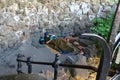 Homeless man lying on the ground and reading a book