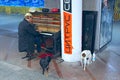 Homeless man playing piano on street surrounded by stray dogs