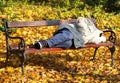 Homeless man is sleeping on a bench in the woods Royalty Free Stock Photo