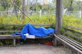 Homeless man sleeping in the park Royalty Free Stock Photo