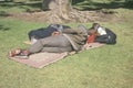 Homeless man sleeping in park, Los Angeles, California