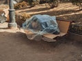 Homeless man sleeps in a park on a bench under a plastic wrap Royalty Free Stock Photo