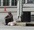 Homeless Man Royalty Free Stock Photo