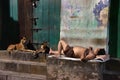 Homeless People Of Kolkata
