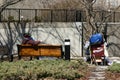 Homeless person in park Royalty Free Stock Photo