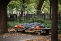 homeless person sleeping on park bench, surrounded by litter Royalty Free Stock Photo